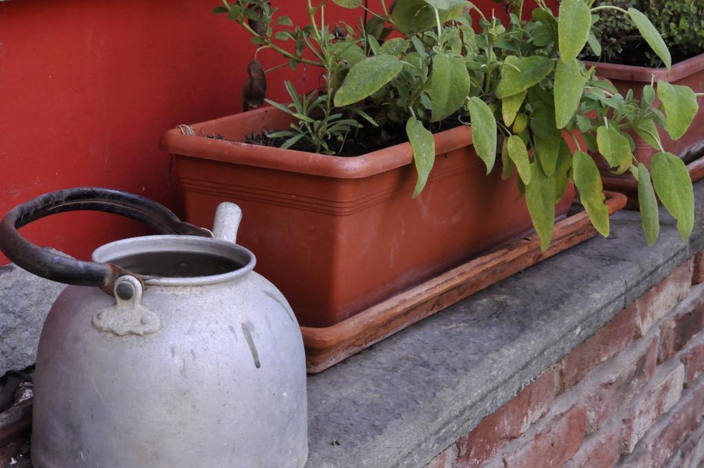 B&B Edera Castagnole Piemonte Luaran gambar